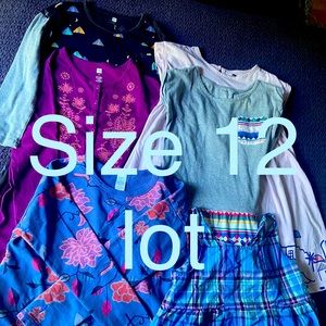 Back to School Tea Collection Size 12 Lot